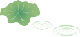 The Efficacy and Functions of Honeysuckle (Jin Yin Hua)