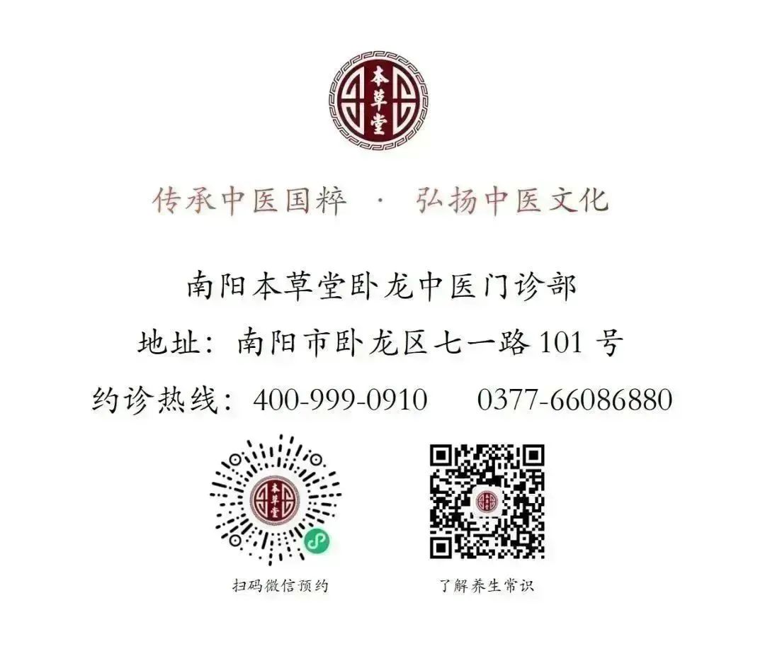 The Significant Differences Between Hong Hua (Safflower) and Zang Hong Hua (Saffron)