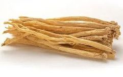 The Medicinal Properties of Dang Shen (Codonopsis pilosula)