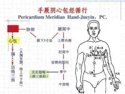The Huangdi Neijing: Meridians, Determining Life and Death, Addressing Hundreds of Diseases