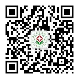 The Unique Therapeutic Approach of Moxibustion in Traditional Chinese Medicine