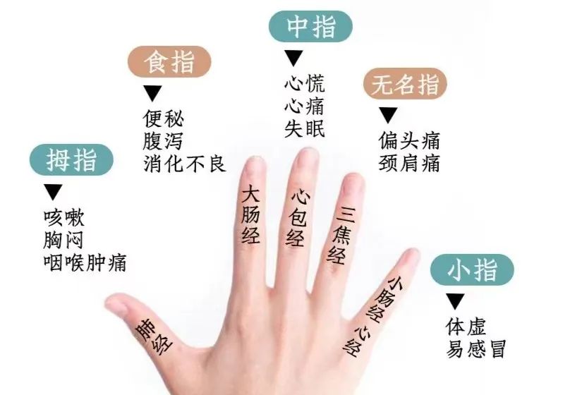 Popular Science | Gua Sha for the Hands: Unblocking Meridians
