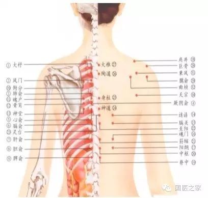 Cupping Therapy: An Art of Healing
