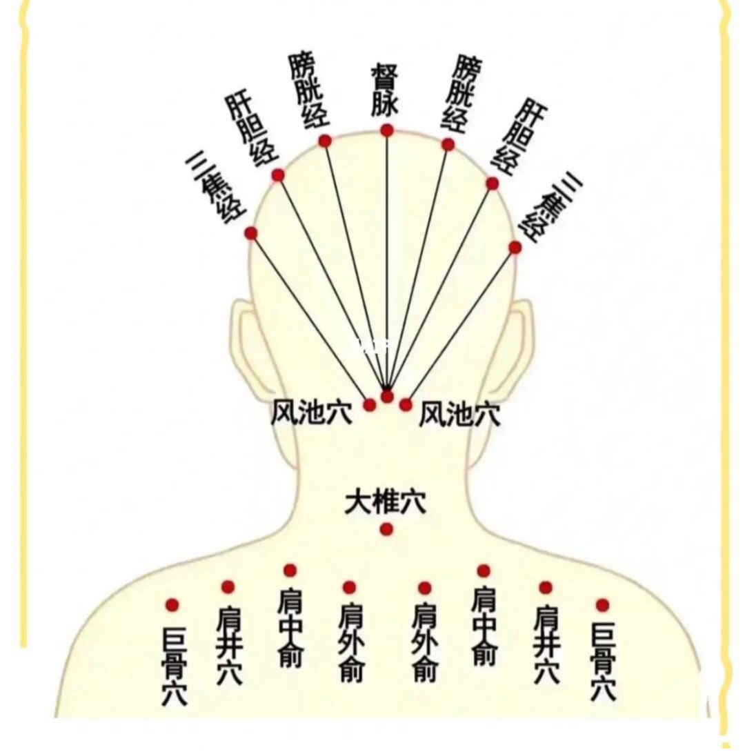 Gua Sha: The 'Master of Unblocking' for the Body