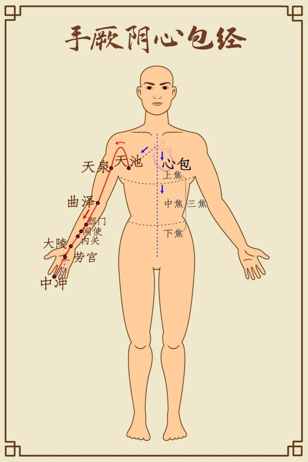 Comprehensive Diagram of Human Meridians (Recommended for Collection)