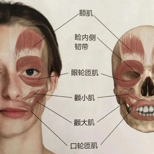 Acupuncture for Managing Facial Muscle Spasms