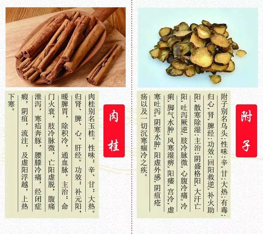 The Efficacy and Functions of Cinnamon in Traditional Chinese Medicine