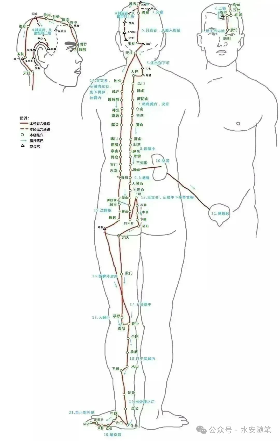 The Pathways of Meridians: A Traditional Chinese Medicine Guide
