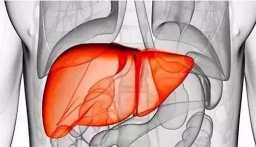 Flexible Applications of Bai Shao in Clinical Practice