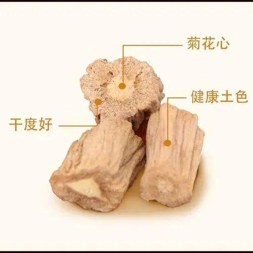 Effects and Contraindications of Codonopsis (Dang Shen) in Traditional Chinese Medicine