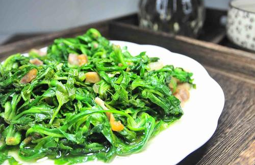 Wild Vegetables in Early Spring: Don't Miss This Dish for Those with Liver Damp-Heat!