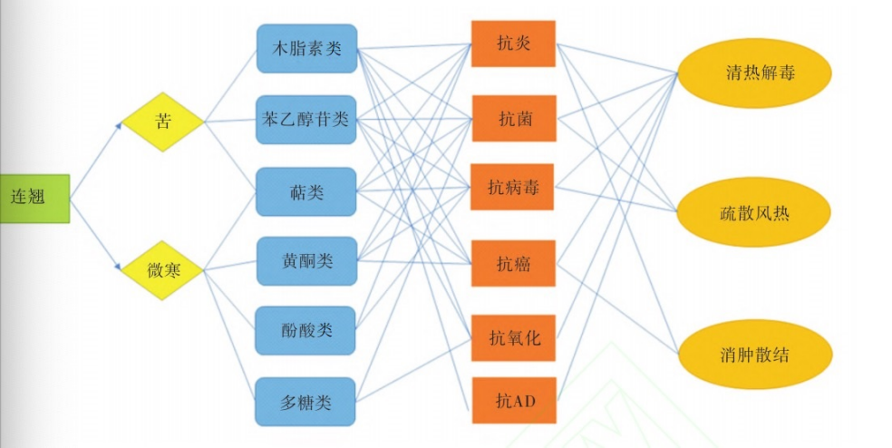 The Multifunctional Uses of Lianqiao: Qingqiao and Laoqiao
