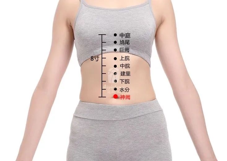 Ten Out of Ten People Are Qi Deficient: It’s Time to Nourish Your Qi!