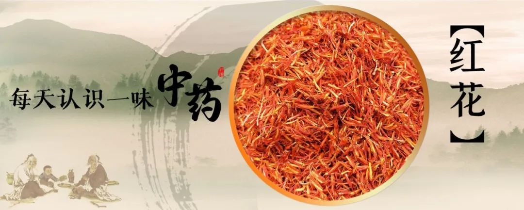 Safflower: Passionate and Versatile in Tea, Soup, Foot Soaks, and Medicine!