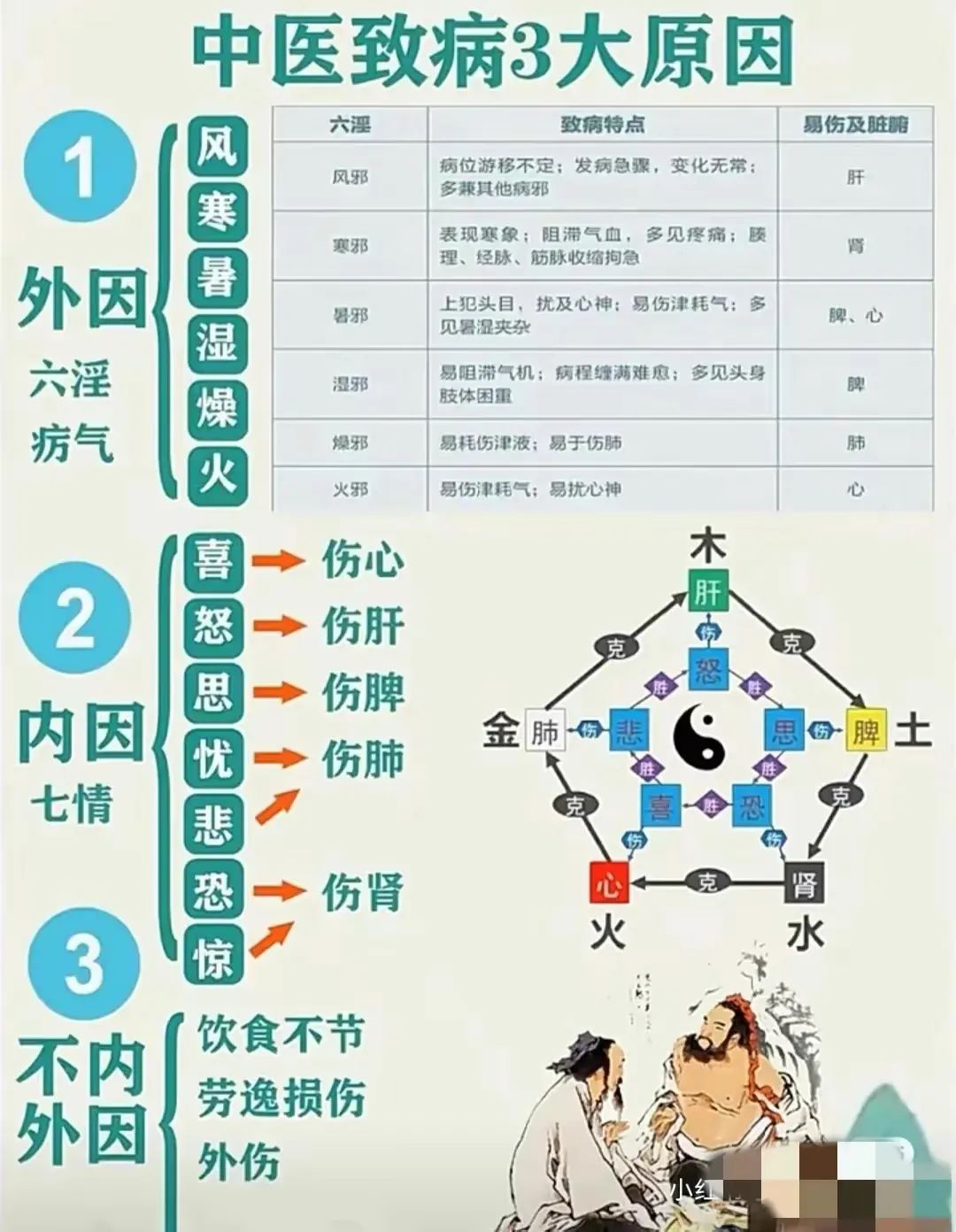 Understanding TCM Diagnosis: Eight Principles and Organ Differentiation to Enhance Your Diagnostic Skills