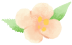 Spring Equinox: Balancing Yin and Yang for Health