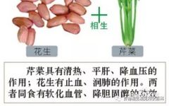 A Comprehensive Guide to Complementary and Contradictory Foods in TCM