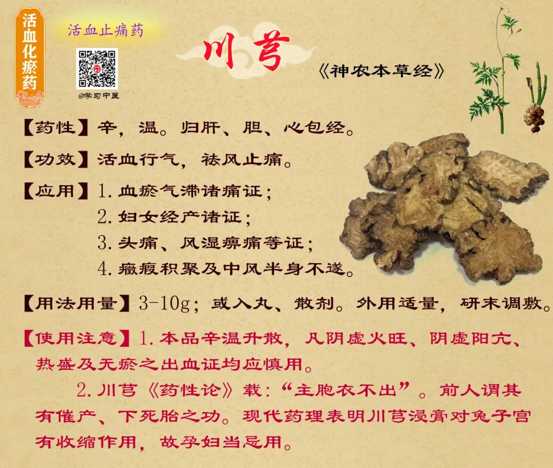Chuanxiong (Ligusticum chuanxiong): A Blood and Qi Herb for Dispelling Wind-Damp and Relieving Headaches
