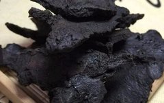 Anti-Cancer Chinese Herbal Medicine: Shudi Huang (Rehmannia Glutinosa)