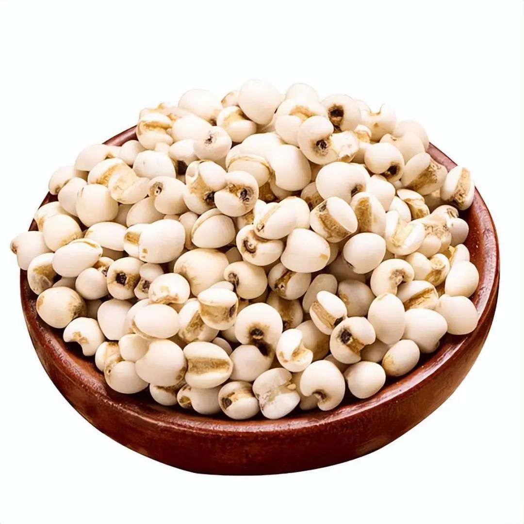 Identification of Coix Seed (Yi Yi Ren)