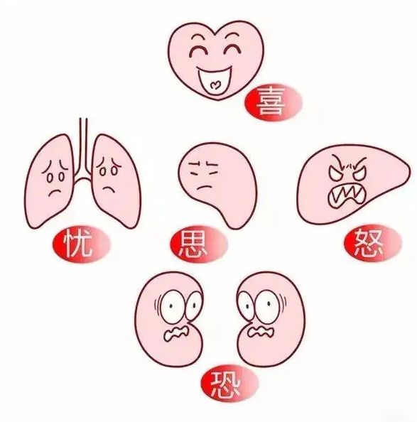 The Relationship Between the Five Elements and the Human Body