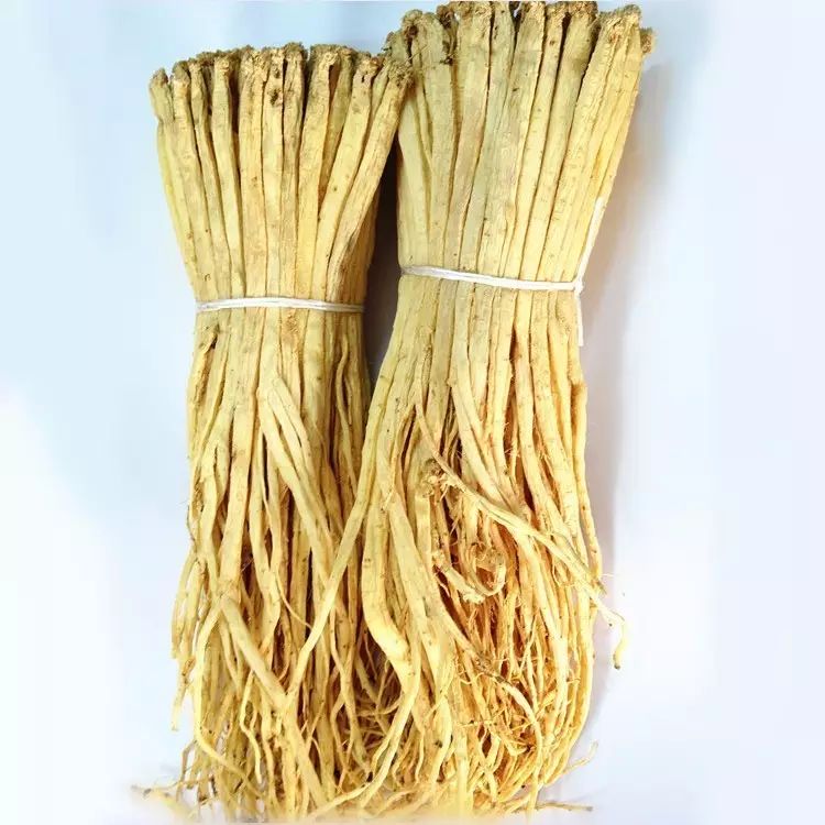 Understanding Dang Shen (Codonopsis pilosula) in Traditional Chinese Medicine