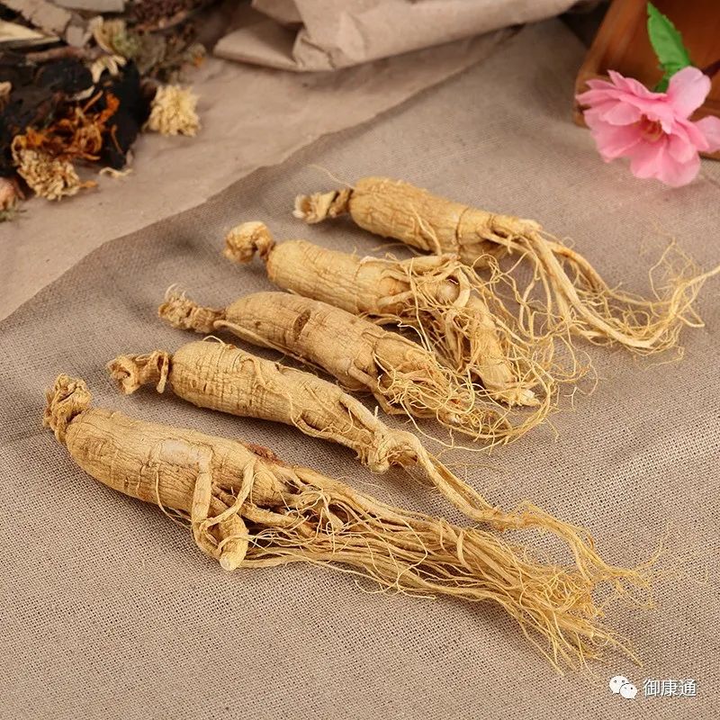 The Effects and Functions of Ginseng; How to Consume Ginseng for Best Results and Its Dietary Contraindications