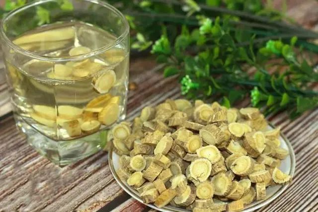 Astragalus: The Top Qi-Boosting Herb - TCM Expert Shares Four Effective Combinations