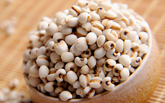 Traditional Chinese Medicine Health Preservation - Five Major Benefits of Coix Seed You Should Know!