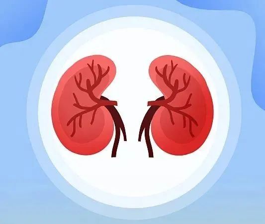 The Five Organs' Favorite Health Movements! Do This Once Daily to Strengthen Your Heart, Liver, Spleen, Lungs, and Kidneys, Reducing Illness!