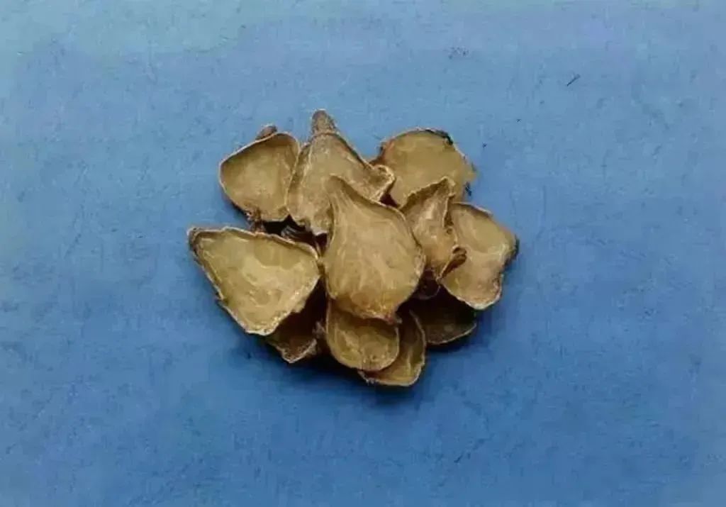 Understanding the Types of Fuzi (Aconite)
