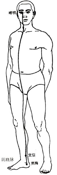 The Concept and Physiological Characteristics of the Eight Extraordinary Meridians