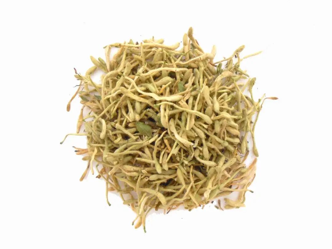 The Efficacy and Uses of Honeysuckle: What to Pair It With for Optimal Benefits