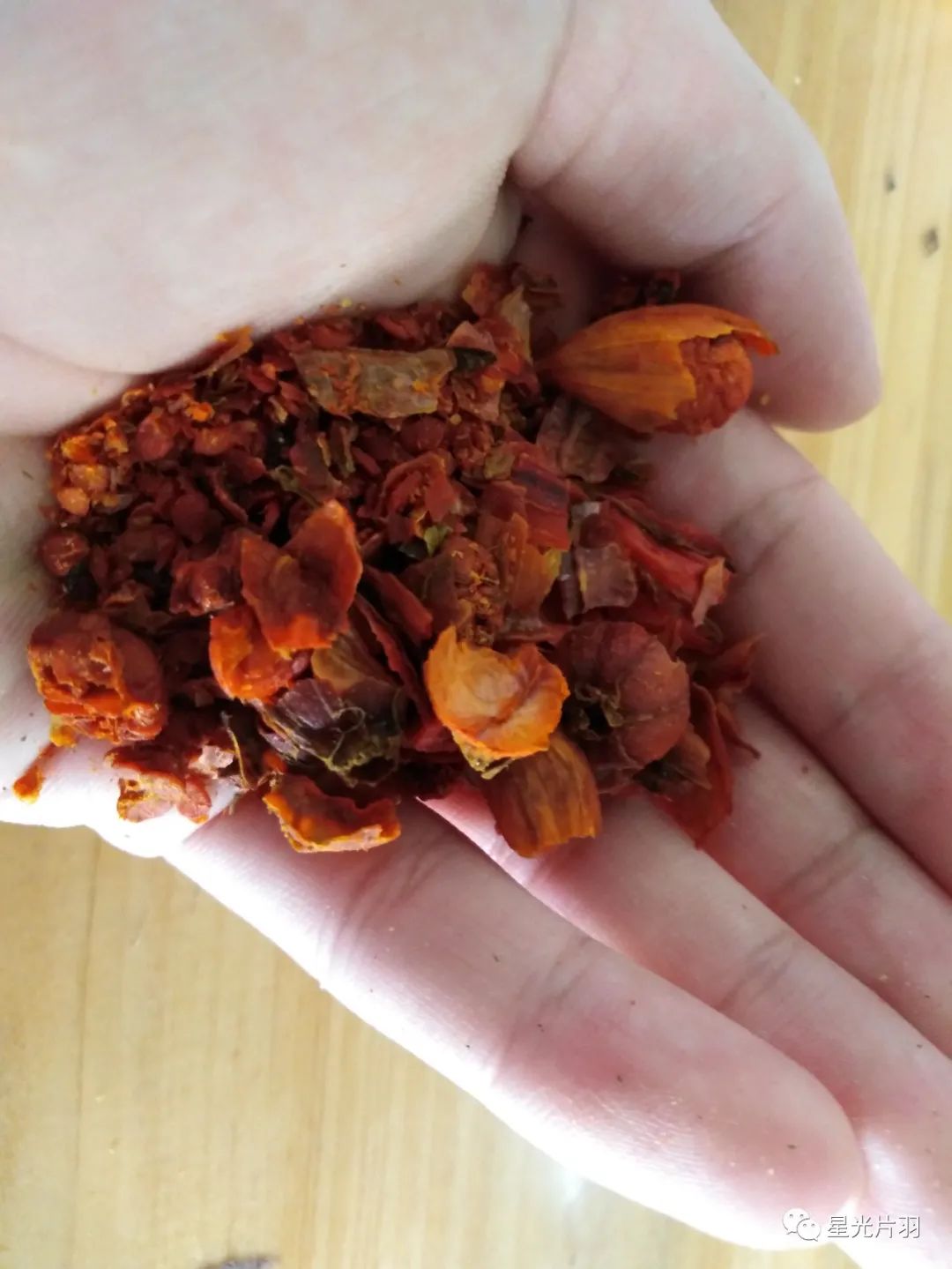 Discussion on Summer Heat and Dryness in Traditional Chinese Medicine