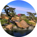 Differences Between Invigorating Yang, Warming Yang, and Tonifying Yang