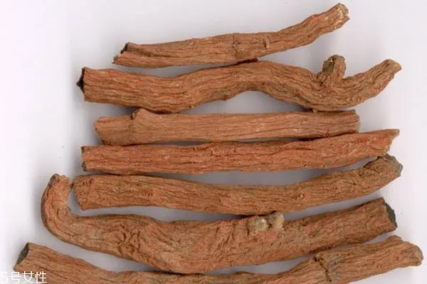 Benefits of Drinking Salvia Miltiorrhiza Tea: Effects and Functions of Salvia Miltiorrhiza