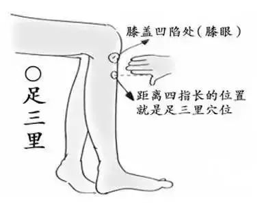 Qi Deficiency: Understanding and Treating Your Qi Deficiency Constitution with Moxibustion at Three Key Acupuncture Points