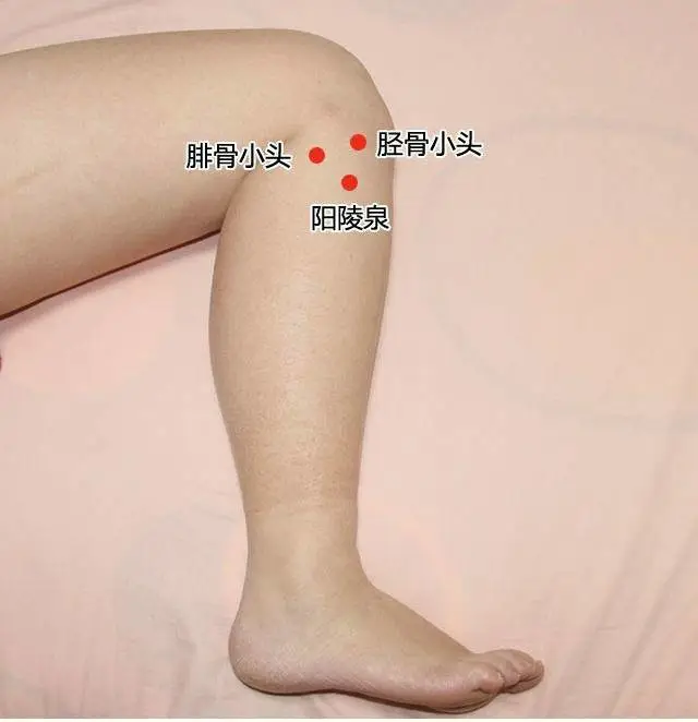 47 Unique Acupuncture Points Worth Seeing! (Collector's Edition)