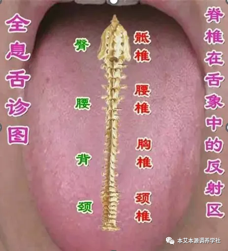 Tongue Diagnosis Series 3: Precise Differentiation of Tongue Coating, Quality, and Shape