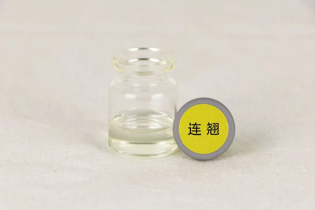 Aromatic Profile | Forsythia suspensa