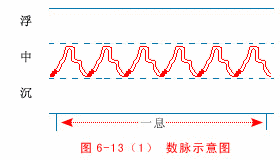 The Twenty-Eight Pulses and All Pulse Patterns in Traditional Chinese Medicine (Animated Illustrations)