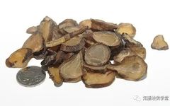 A Comprehensive Study on Fuzi (Aconite)