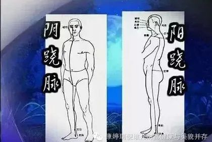 Comprehensive Guide to Facial Diagnosis in Traditional Chinese Medicine (With Images and Explanations)