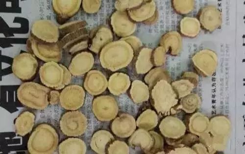 Understanding the Benefits of Astragalus (Huang Qi)