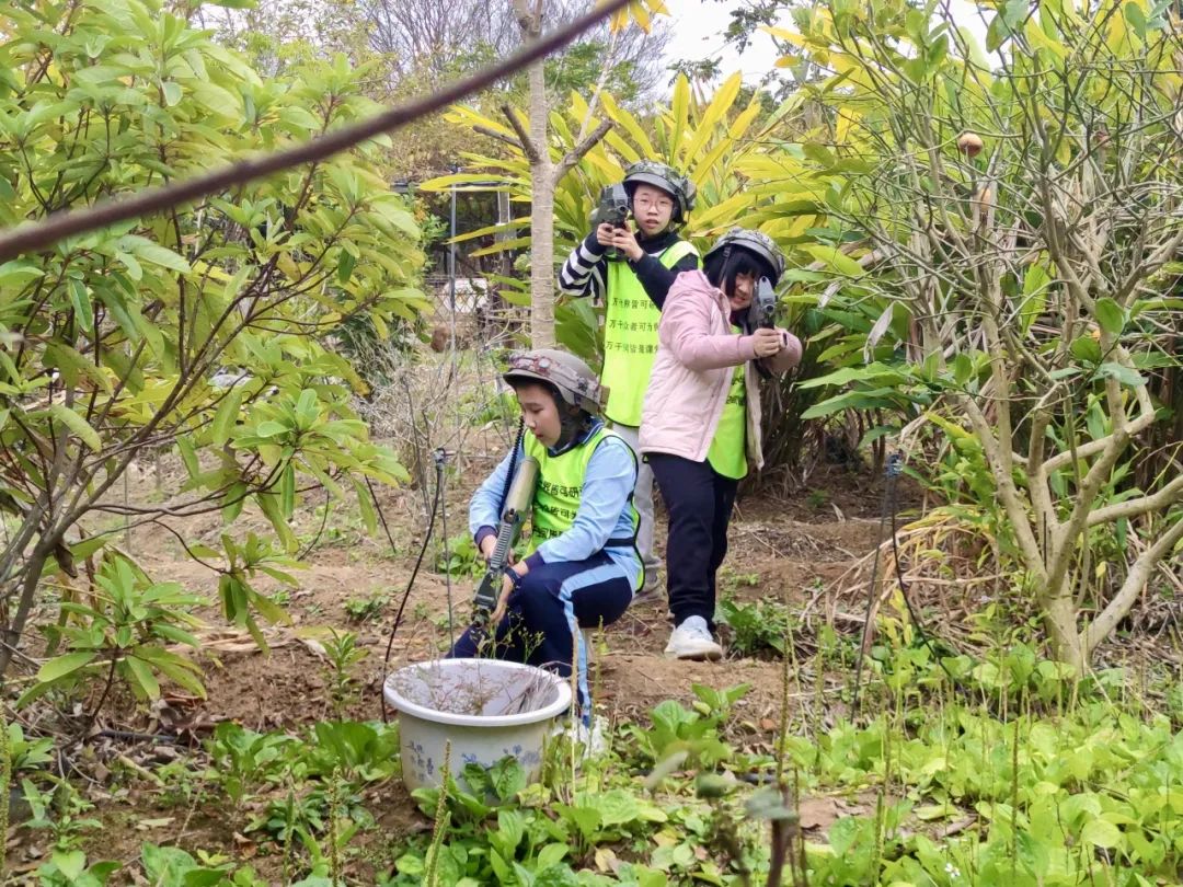 Exploring Medicinal Herbs and Agricultural Experiences: Class 2 of 2020 at Park Primary School Enjoys Springtime in the Fields