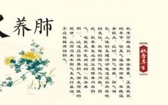 Health Science: Tips for Seasonal Wellness in Traditional Chinese Medicine