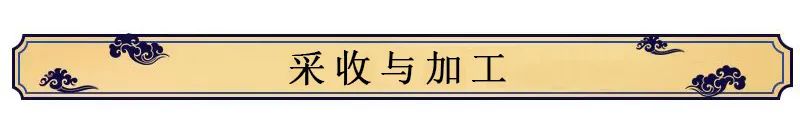 How to Cultivate Ginseng?