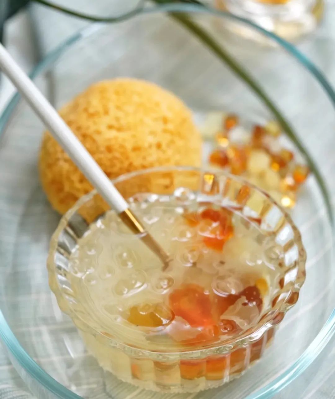 The Past and Present of Medicinal Cuisine