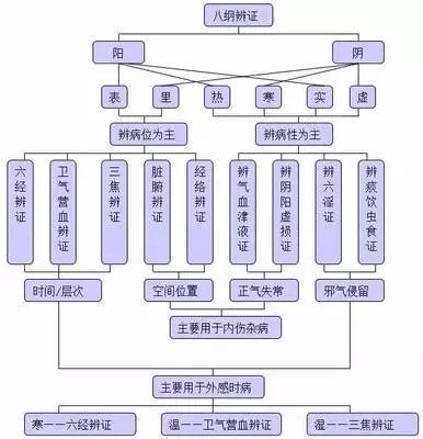 The Eight Principles of TCM Diagnosis