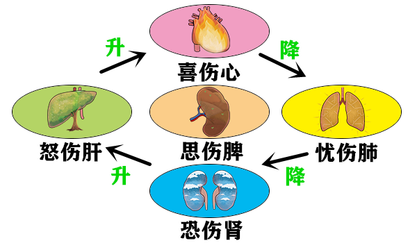 Understanding the Relationship Between the Large Intestine and the Lungs: Cold Dampness and Its Impact on the Spirit